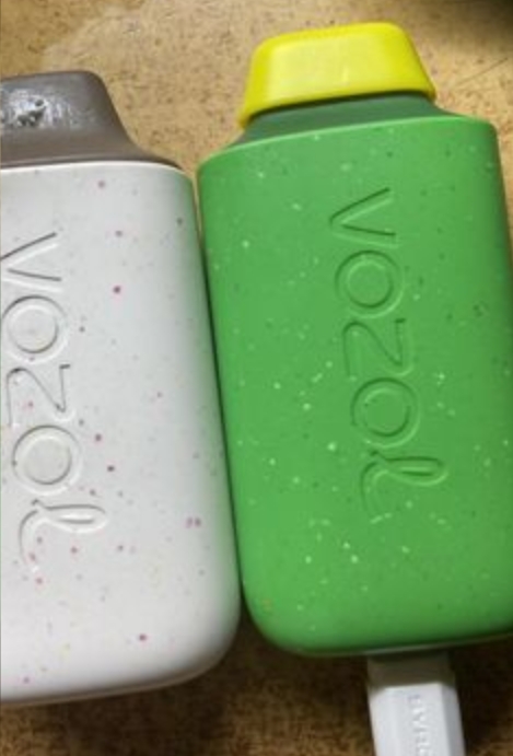 Vozol Elektronische Zigarette: Warum Österreichs Vaper diese Innovation lieben werden