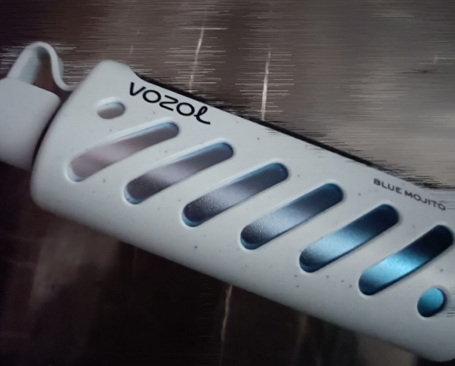 Mehr als nur Dampf: Warum Vozol zur neuen Stimme des Vapens wird